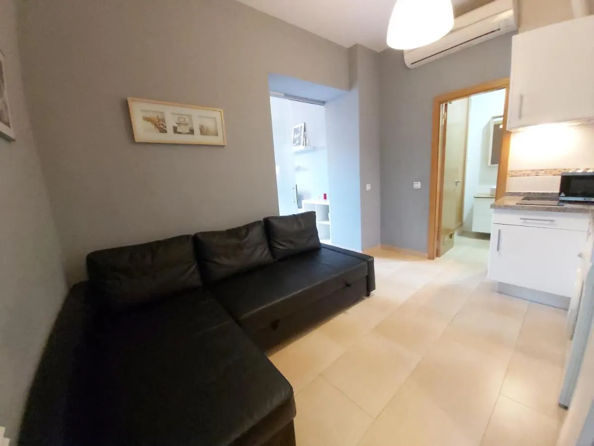 Lägenhet Del Parque Flats Central Málaga